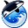 Orca BrowserV1.2Build6ɫر