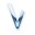 vLite