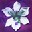 ��Ƶ������� (Perspective Software Blue Iris)