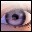 �ļ��м���(Folder Monitor)