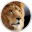 win7��win8�����(Lion Icon Pack)