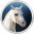 ̬(Fog Horses 3D Screensaver)v1.0.01 ɫ