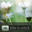 ��iphone���� Android