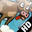 ��ŭ����ţ for Android