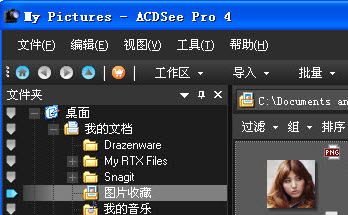 ACDSee Pro4İ