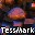 �Կ����ܲ��Թ���TessMark