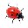 ư(Ladybug On Desktop)V1.0ɫѰ