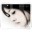 shily��Ļ��׽����