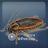 ɱ(Kill Cockroach)v1.0 WP7Խ
