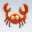 ����ר������(The Crab)