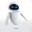 SWF�ڴ���ȡ��(SWF Memory Fetch Wizard)