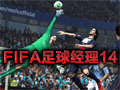 fifa2014