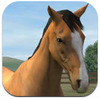 �ҵ��� My Horse