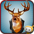 ��¹����װ����DEER HUNTER RELOADED(�����ݰ�)v3.8.2 ��׿��