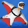 ��װ(Wingsuit Pro)