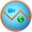 ����¼�ƹ���(Evaer Video Recorder for Skype)