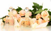 ���˽ڷ�ɫ����õ��ͼƬ