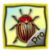 Warrior Bugs (Pro)(����ƻ��)