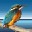 �����������highlight code converter