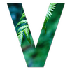 Flux for mac