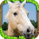 Horse Sim(Ұģ)v1 ׿