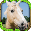 Horse Sim(Ұ��ģ����)