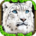 ѩģ Leopard Simv1.2 ׿