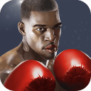 ȭ֮ Punch Boxing 3Dv1.0.8 ׿