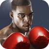ȭ��֮�� Punch Boxing 3D