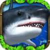 ����ģ���� Shark Sim