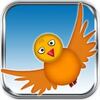 Flappy Bird(�����С��Fly Birdie)