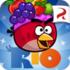 Angry Birds(��ŭ��С����Լ��)