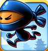Temple Ninja Run(������ð��)