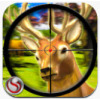 Sniper Deer hunting 2014(ѻ¹)