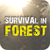 Survival in Forest(��������)