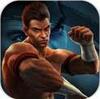 Fighter King - Dragon Power(��֮����������)