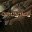 starforge�ǽ�������DVD����