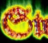 Horodruin���ļ���ͬ������
