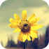 ����ʶ��app2.1.16 ��׿��