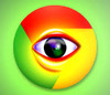 Chrome Autofill Viewer�����������Ϣ����
