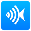 ����apk