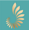 ˽������ʦapp