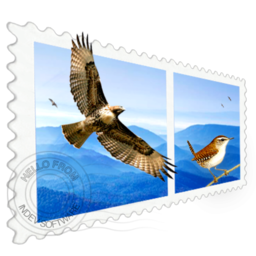 Mail Perspectives For Mac
