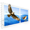 Mail Perspectives For Mac