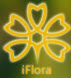FOC������ѯ����