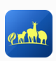 �����ǻ۶�����˹app