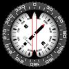 Compass Proָ����רҵ��