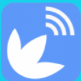 ���߼���app