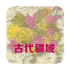 �й���ʷ��ͼ�ֻ���(�Ŵ�����ͼ)V3.8 �ٷ���׿��