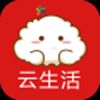 ������APP